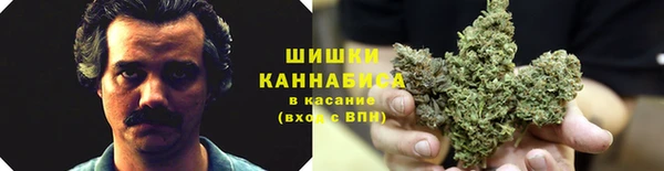 spice Осташков